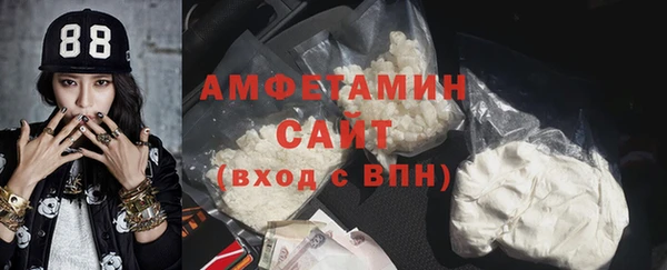 индика Гусь-Хрустальный