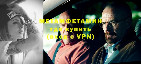 индика Гусь-Хрустальный