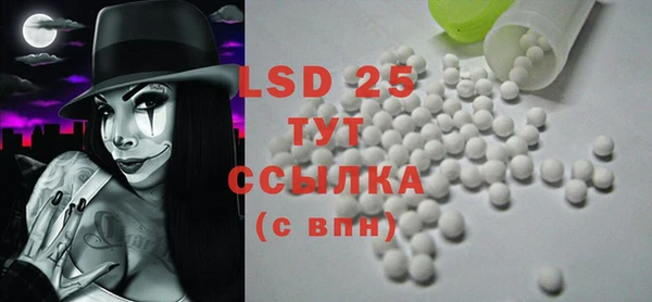 индика Гусь-Хрустальный