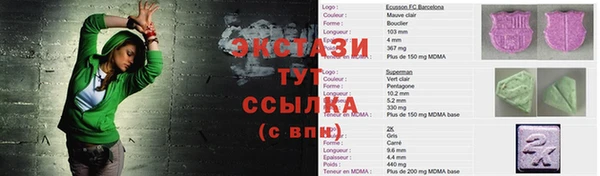 индика Гусь-Хрустальный