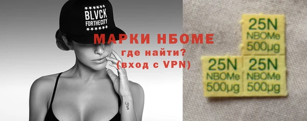 индика Гусь-Хрустальный