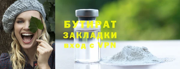 индика Гусь-Хрустальный