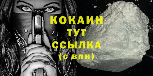 сатива Гусев
