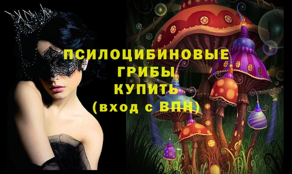 индика Гусь-Хрустальный