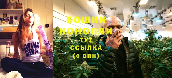 индика Гусь-Хрустальный