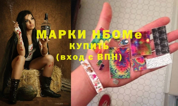 сатива Гусев