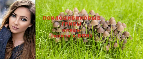 индика Гусь-Хрустальный