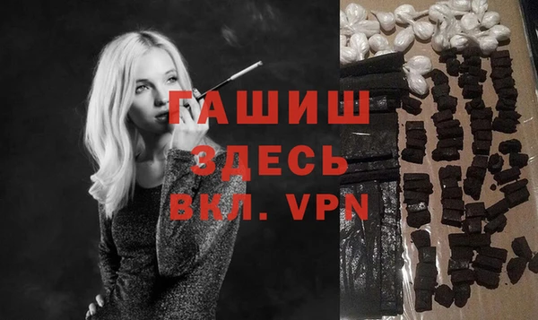 индика Гусь-Хрустальный