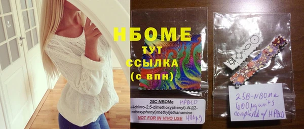 индика Гусь-Хрустальный
