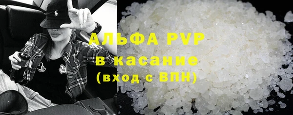 индика Гусь-Хрустальный
