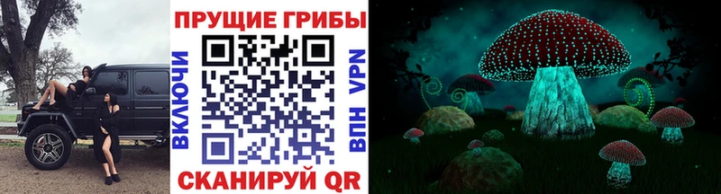 купить  сайты  Иланский  Псилоцибиновые грибы MAGIC MUSHROOMS 
